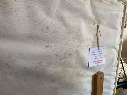 Photo of free Kingsize headboard (Spital CH63) #3