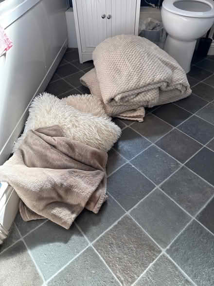 Photo of free Cushions and throw overs (Carlisle area CA4) #2