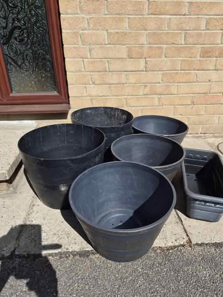 Photo of free Plant pots (Bearwood. BH11) #1