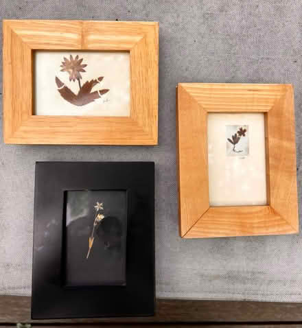 Photo of free 3 small dried flowers in frames (Little Silver) #1