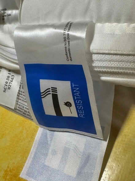 Photo of free single thick mattress protector (Glastonbury BA6) #2