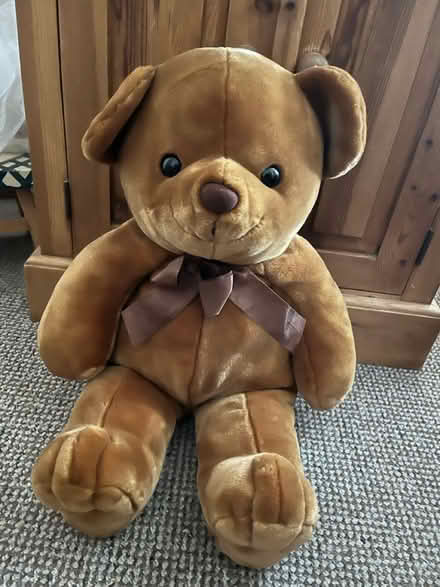 Photo of free Bear (Hemel Hempstead) #1