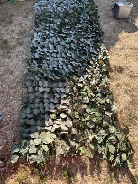 Photo of free Artificial ivy leaf roll (Littlehampton, BN17) #1