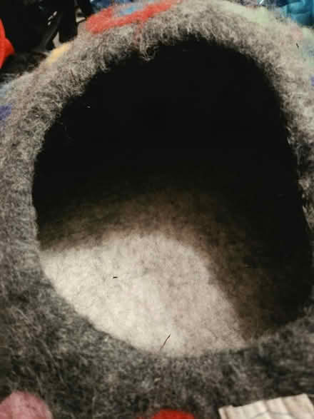 Photo of free Wool cat bed (Glenview near Northbrook) #1
