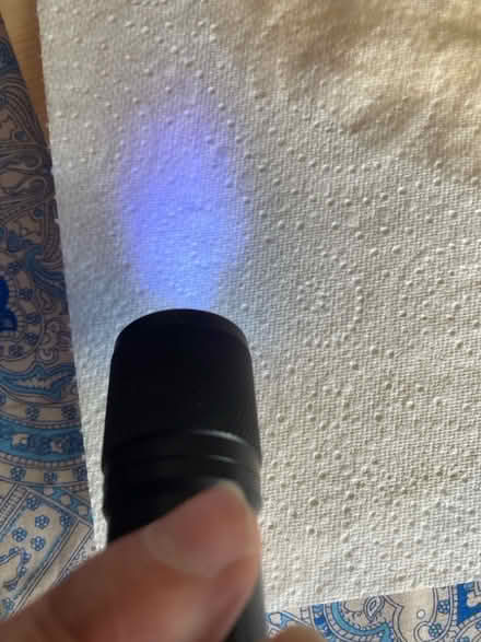 Photo of free Urine finder torch (Filton BS34) #4