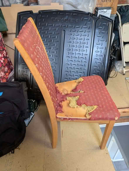 Photo of free 6 Genuine Skovby Dining Chairs – Upholstery Project (Shortlands BR2) #3