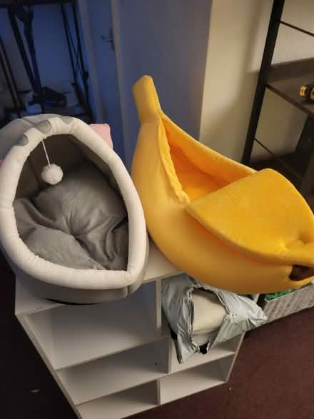 Photo of free 2 cat beds (Pr23uq Pr2 3uq) #1