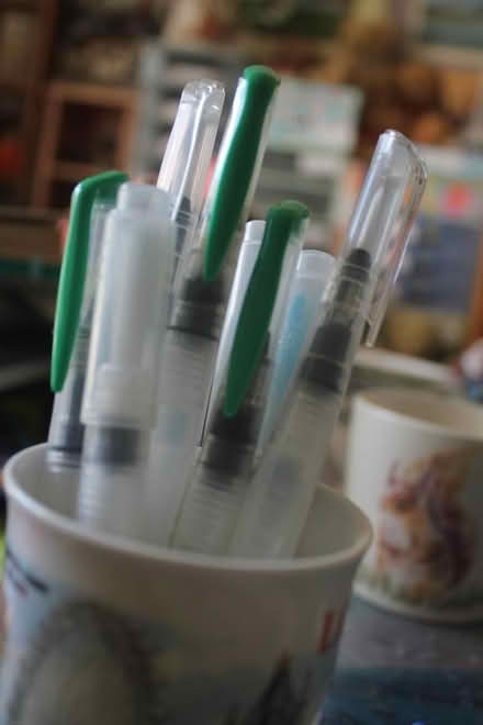Photo of free Nine Water Brushes (dorchester DT1) #2