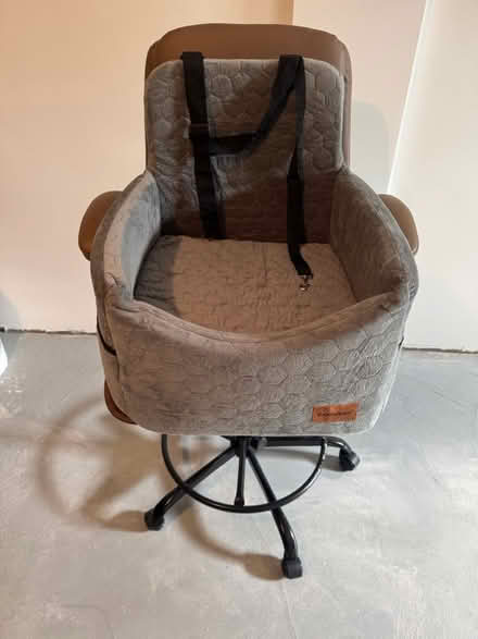 Photo of free Car Dog Seat (Wakefield) #1