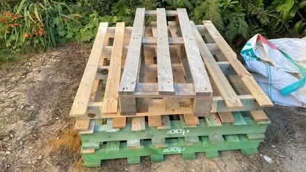 Photo of free Pallets (Mill Lane crowborough TN6) #1