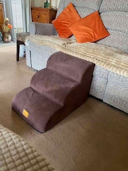 Photo of free Doggy steps (Belper DE56) #1