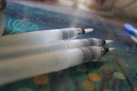 Photo of free Nine Water Brushes (dorchester DT1) #1