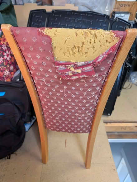 Photo of free 6 Genuine Skovby Dining Chairs – Upholstery Project (Shortlands BR2) #4