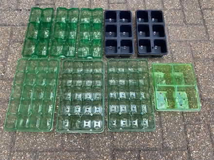 Photo of free Various Cell trays, garden plants/seeds (Hellesdon NR6) #2