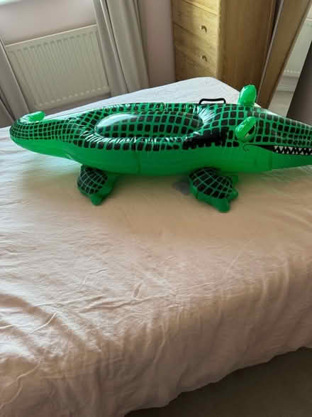 Photo of free Inflatable Crocodile (Crook DL15) #2