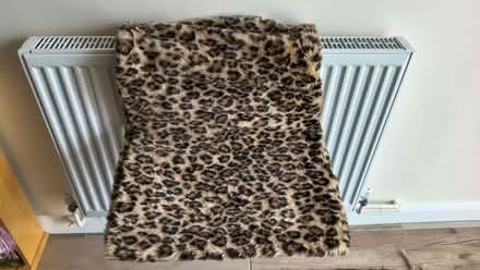 Photo of free Cat Hammock (New Marston OX3) #1