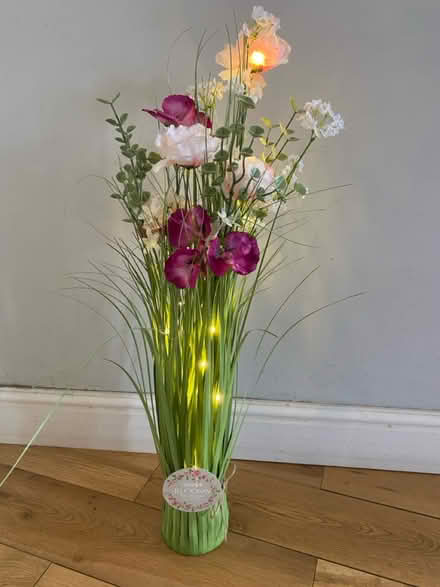 Photo of free Light up flowers (WN4) #2