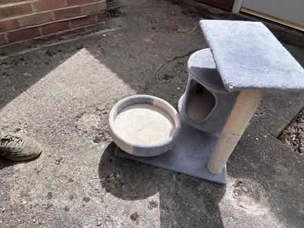 Photo of free Small Cat Tree Play Area (Ernest Road OX11) #3