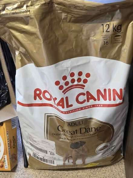 Photo of free Royal canin great dane dog food (Finsbury N4) #1