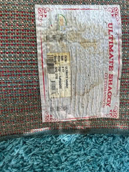 Photo of free Turquoise shaggy rug 5x7 (Chevy Chase DC) #2