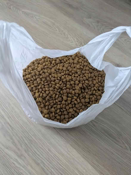 Photo of free Renal Care Dry Cat Food (Hounslow TW14) #1