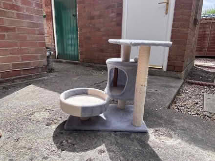 Photo of free Small Cat Tree Play Area (Ernest Road OX11) #2