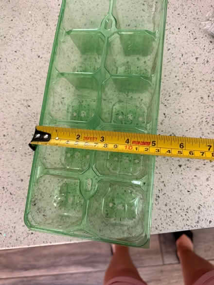 Photo of free 2 Seed Trays (Matlock DE4) #4