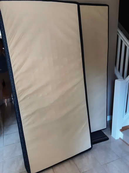 Photo of free Two twin boxsprings (Carlingwood) #1
