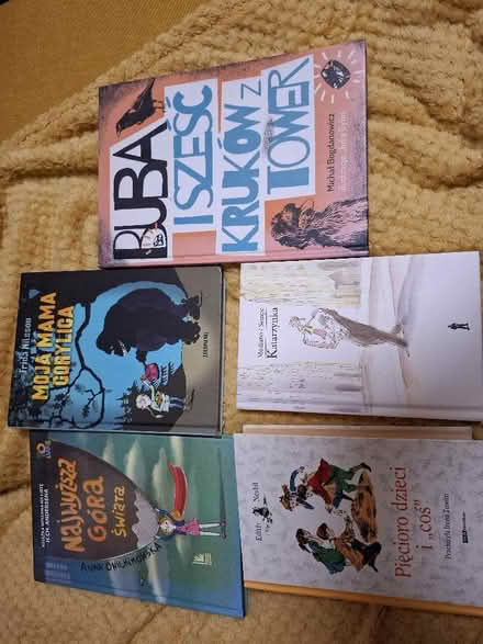 Photo of free Polish kids books (Lye Valley OX4) #1
