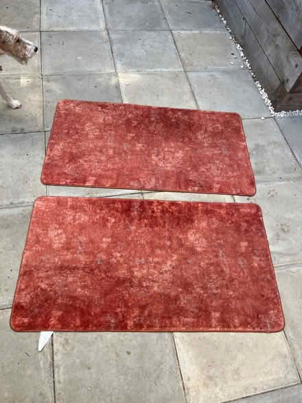 Photo of free Mats 60 x 110cm two (Thame OX9) #1