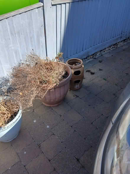 Photo of free Garden pots (Seaside BN22) #1