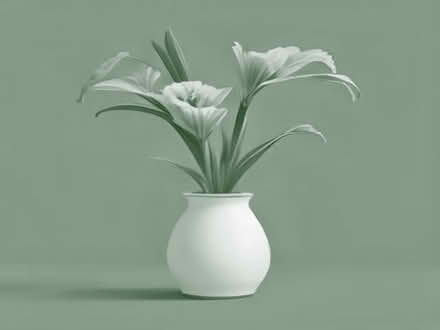 Photo of Bearded Iris Plants (Broomridge FK7) #1