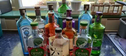 Photo of free Pretty gin bottles (empty!) for crafting, wedding, vases etc (Chells SG2) #1