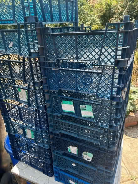 Photo of free Plastic Trays (HR2) #1