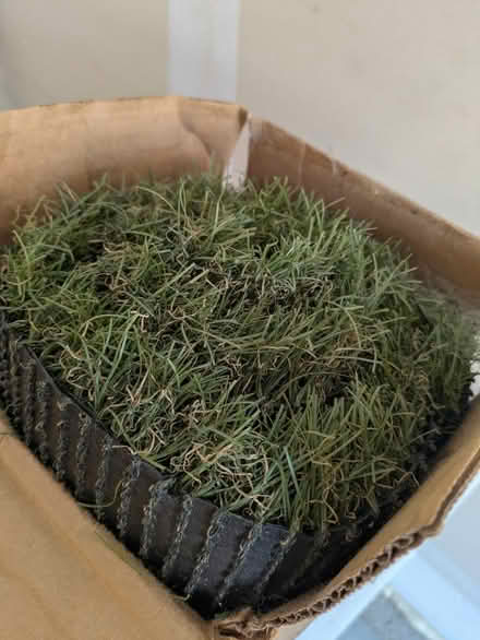 Photo of free 4' square artificial grass (16318 Main View LN NE) #1