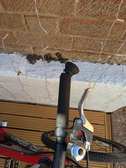 Photo of free Children's bike (Eastbourne BN23) #4