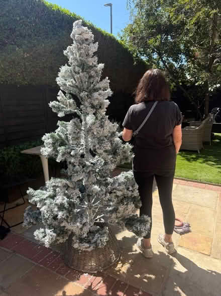 Photo of free Fake Christmas tree with cane basket (Latchmere SW11) #4
