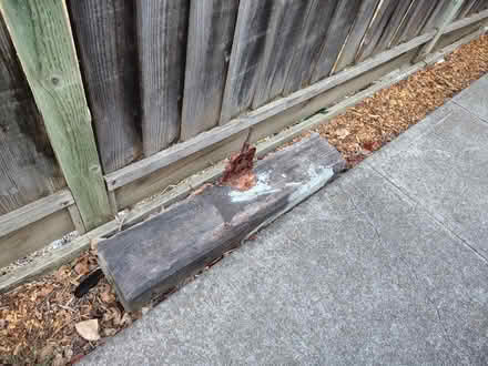 Photo of free Clamp (Cupertino City Hall) #1