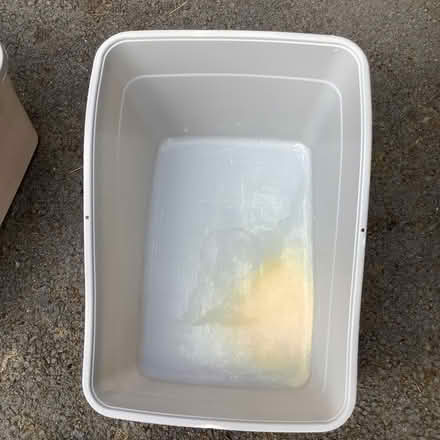 Photo of free Cat litter box (Hampden Park BN22) #3