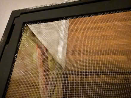 Photo of free 40 gallon reptile terrarium (Roslindale) #3