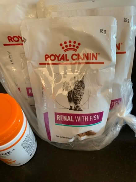 Photo of free Renal cat food/ dietary supplement (Camden tube station NW1) #1