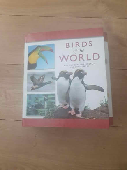 Photo of free Birds of the world (Welling DA16) #1