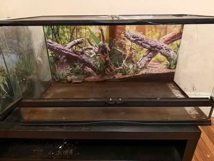 Photo of free 40 gallon reptile terrarium (Roslindale) #2