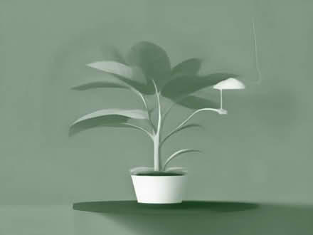 Photo of Artificial plant or tree (Druids Heath B14) #1