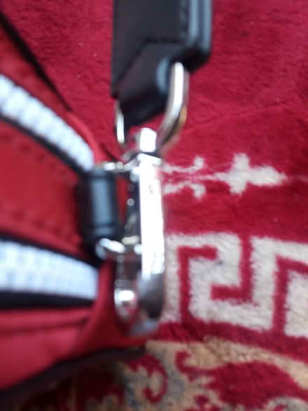 Photo of free Michael kors camera bag (Bd47jf) #3