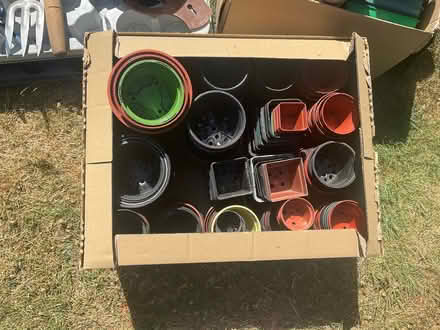 Photo of free Gardening Job Lot (Strood ME2) #2