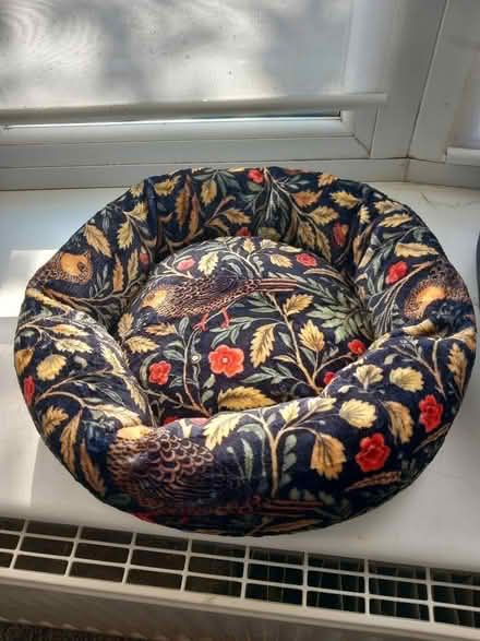 Photo of free Small catbed (Aspley NG8) #1