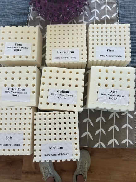 Photo of free 100% latex samples (San Rafael - Terra Linda) #2