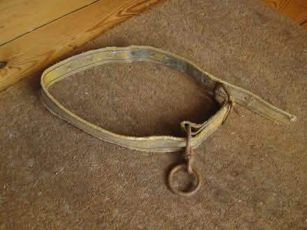 Photo of free Goat or sheep collar (Longley Green WR13) #1