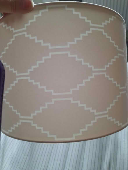 Photo of free Pink flock lampshade (Warden Hill GL51) #1